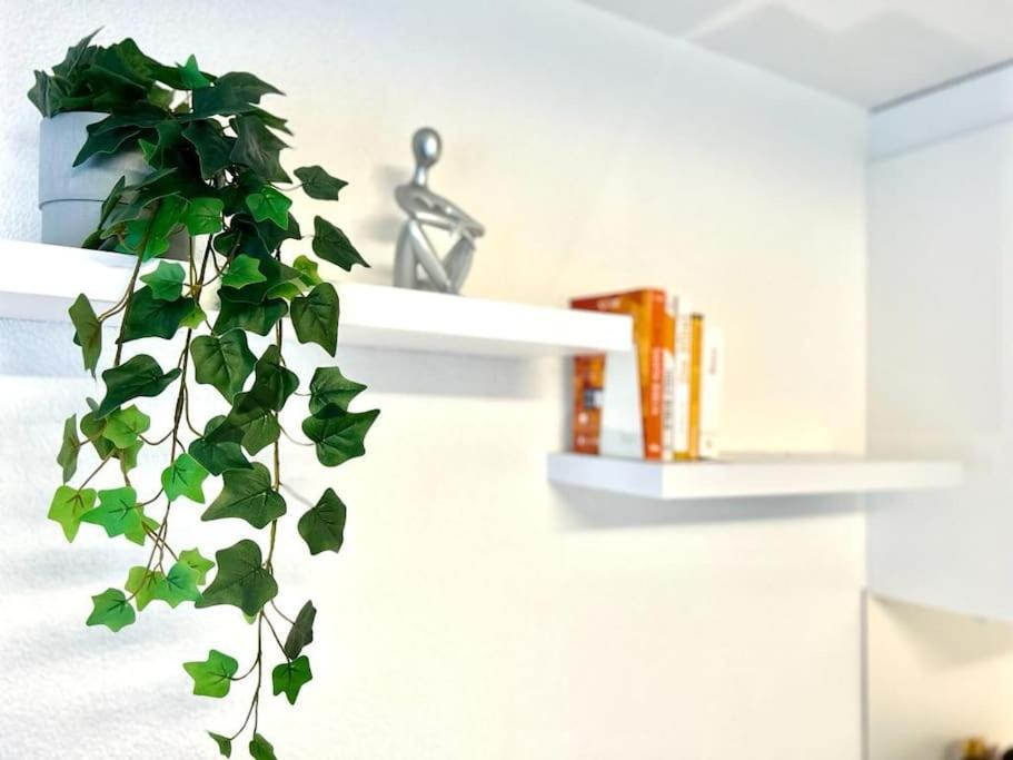 Casa Ambizione Appartement Dietikon Buitenkant foto