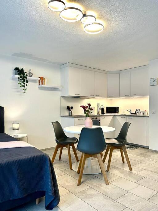 Casa Ambizione Appartement Dietikon Buitenkant foto