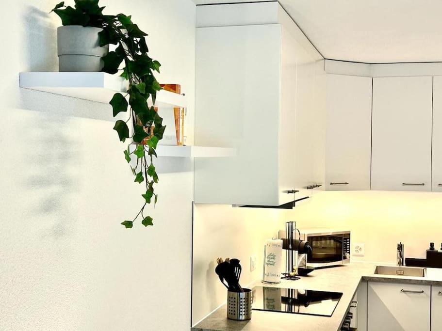 Casa Ambizione Appartement Dietikon Buitenkant foto