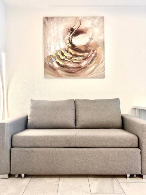 Casa Ambizione Appartement Dietikon Buitenkant foto